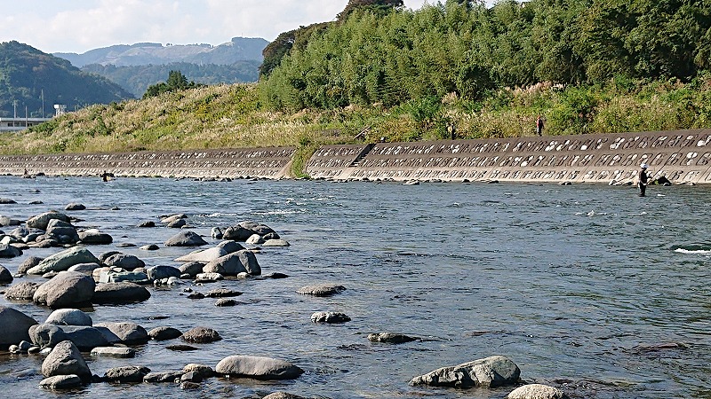 酒匂川 山北 松田 小田原地区